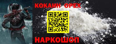 гидра Брянск