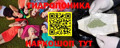 гидра Брянск