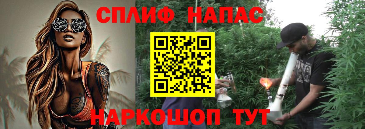 Бошки Шишки план Жуковский